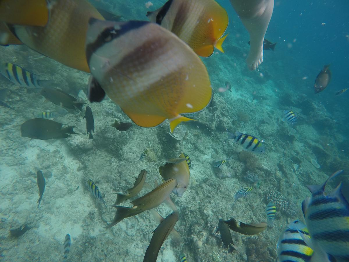 Meisya Cottage Gili Trawangan Eksteriør billede